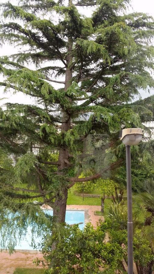 סורנטו Casa Carolina B&B מראה חיצוני תמונה