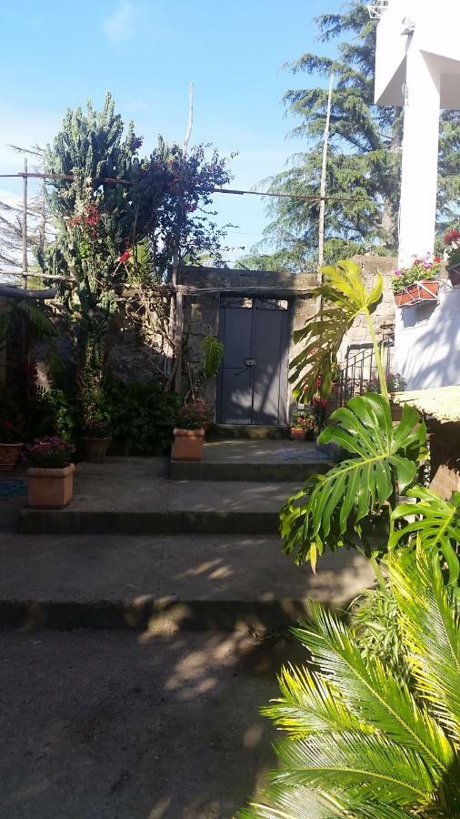 סורנטו Casa Carolina B&B מראה חיצוני תמונה