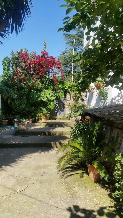 סורנטו Casa Carolina B&B מראה חיצוני תמונה