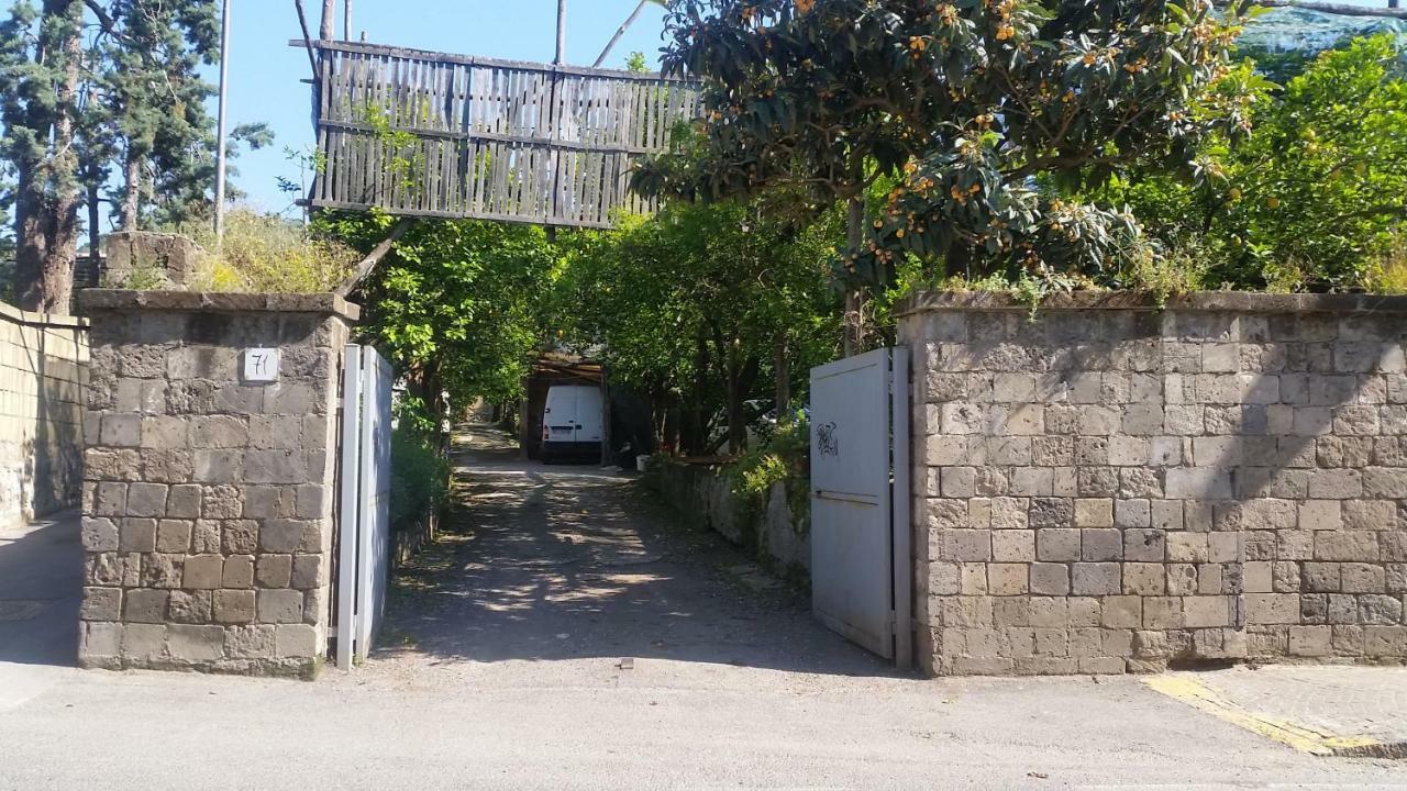 סורנטו Casa Carolina B&B מראה חיצוני תמונה