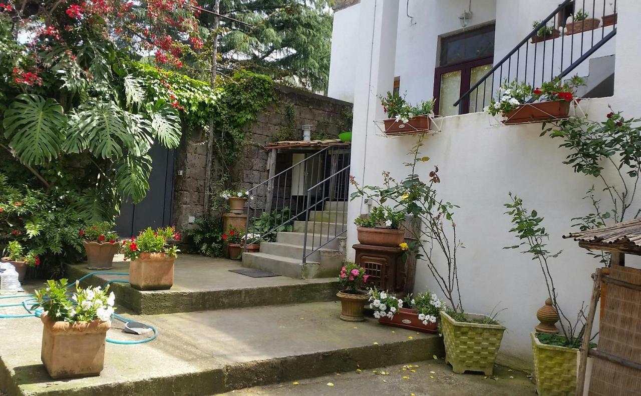 סורנטו Casa Carolina B&B מראה חיצוני תמונה