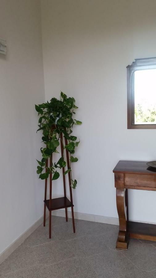 סורנטו Casa Carolina B&B מראה חיצוני תמונה