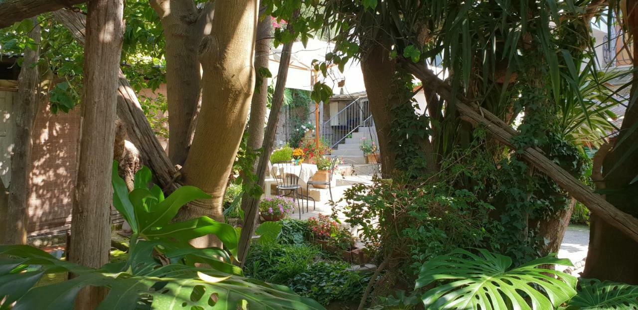 סורנטו Casa Carolina B&B מראה חיצוני תמונה